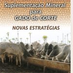 suplementação mineral para gado de corte
