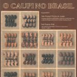 O Caupi no Brasil-0