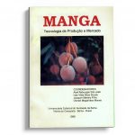 Manga, tecnologia de produção e mercado
