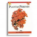 plantas perenes – guia prático