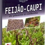 2573358417_feijao-caupi-plantio-colheita-ufv