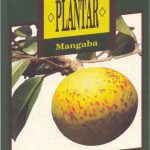 699273944_colecao-plantar-mangaba-ufv