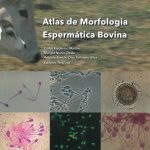 atlas_de_morfologia_espermatica_bovina