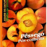 pos6388818622_frutas-do-brasil-pessego-pos-colheita
