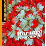 pos6551629901_frutas-do-brasil-morango-pos-colheita