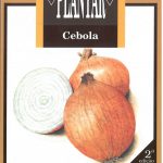Coleção Plantar – Cebola