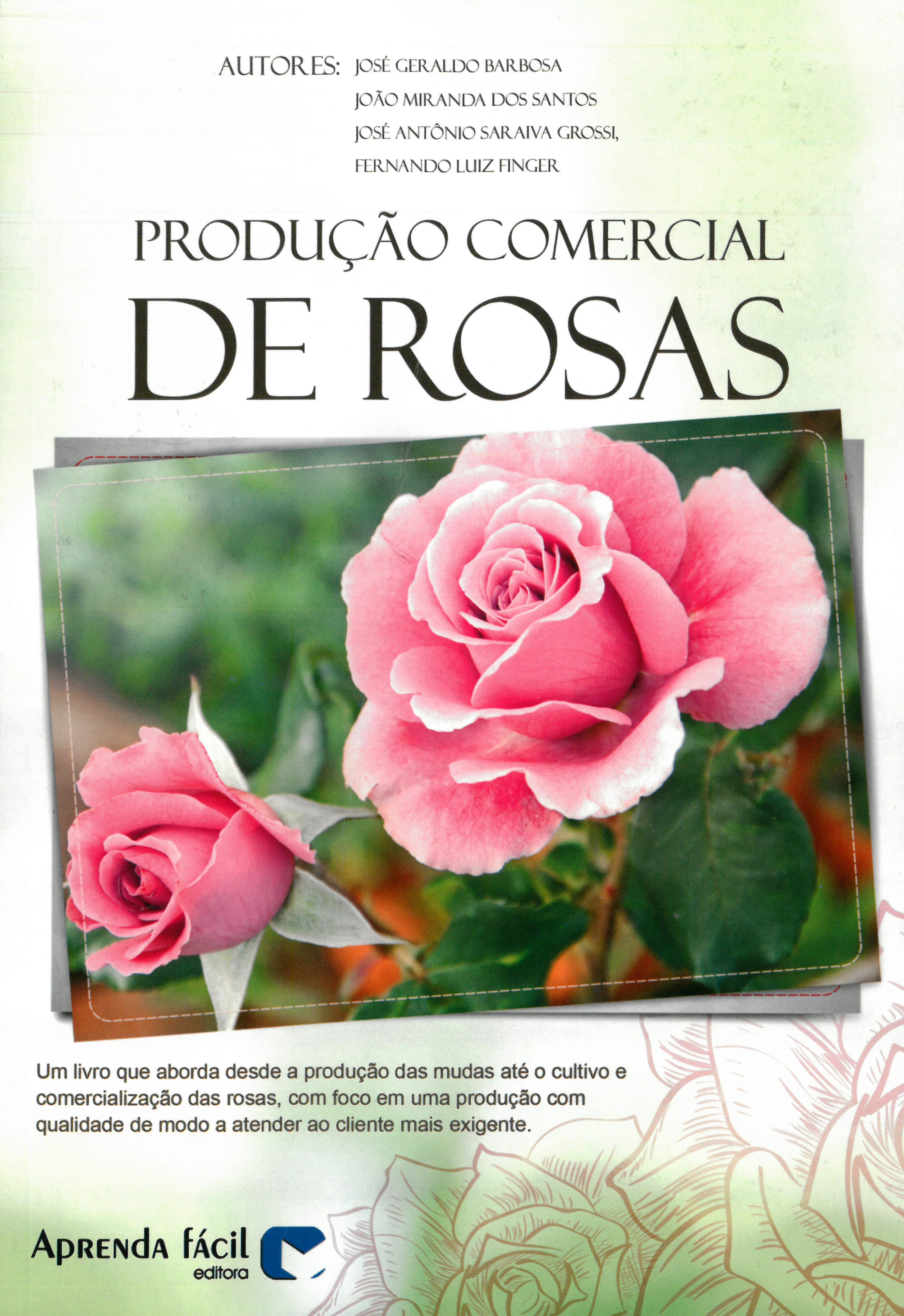 Rosa Comercial