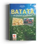 Batata do plantio a colheita