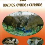 minerais e vitaminas para bovinos, ovinos e caprinos