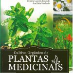 Cultivo orgânicos de plantas medicinais