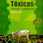 plantas-toxicas-inimigo-indigesto