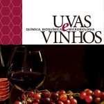 uvas e vinhos