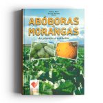 Aboboras e morangas do plantio a colheita