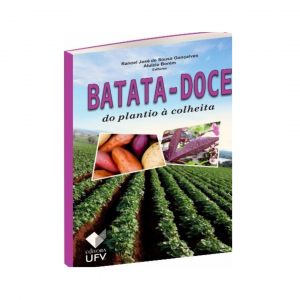 Batata-doce do plantio à colheita