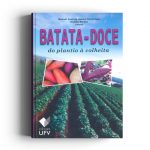 Batata doce do plantio a colheita