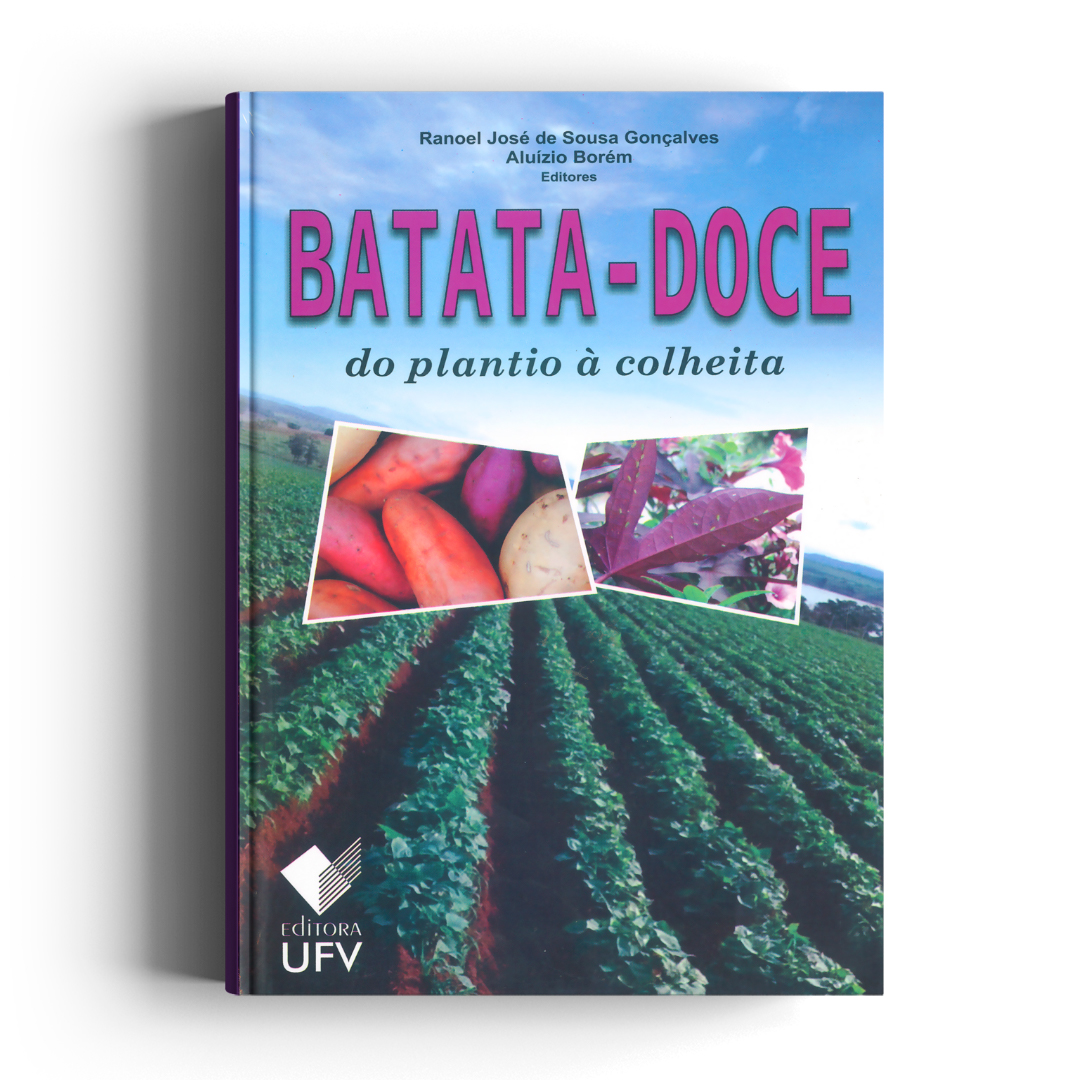 Batata-doce do plantio à colheita