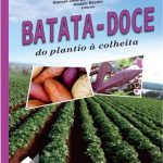 Batata-doce do plantio à colheita