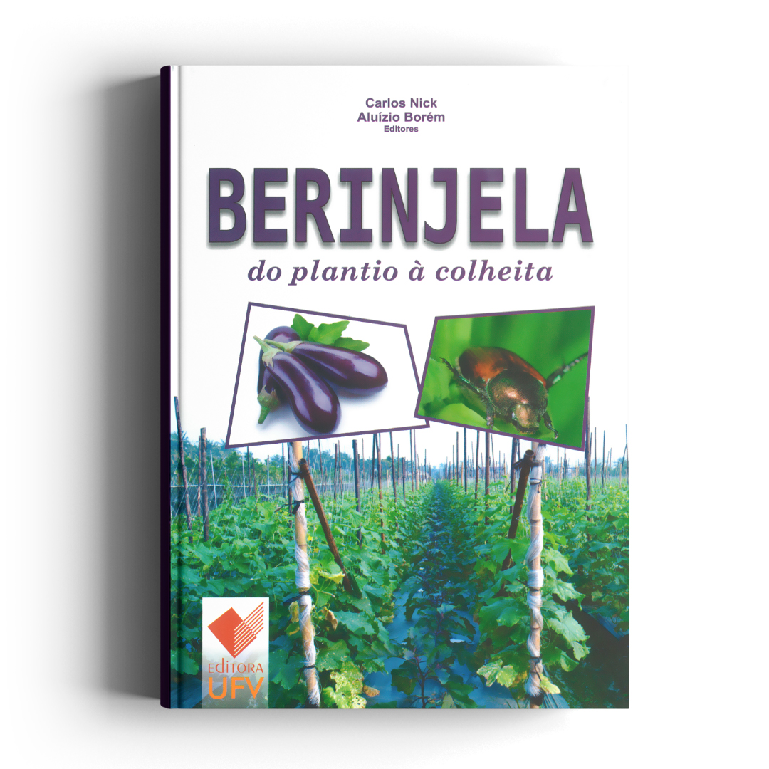 Berinjela do plantio à colheita