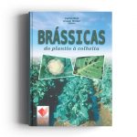 Brassica do plantio a colheita