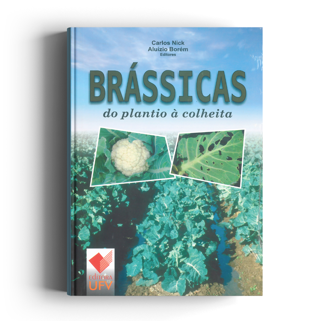 Brássicas: do plantio à colheita