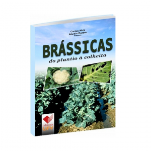 Brássicas: do plantio à colheita