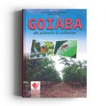 Goiaba do plantio a colheita