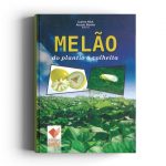 Melao do plantio a colheita