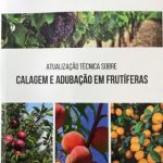 Captura de tela 2025-10-14 095141