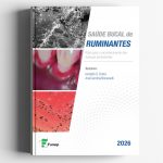 WhatsApp Image 2026-04-01 at 11.23.09