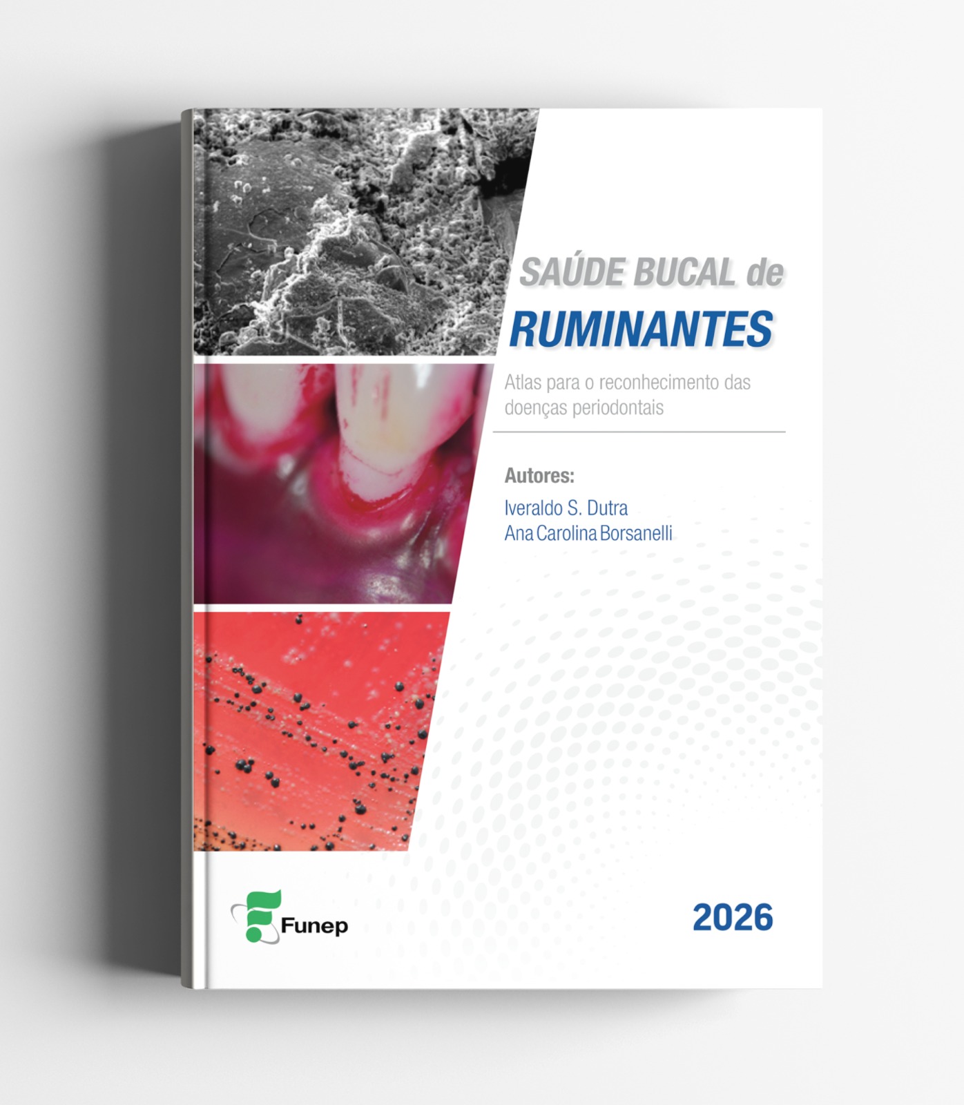 E-book Saúde Bucal de Ruminantes: Atlas para o reconhecimento das doenças periodontais